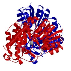 Image of CATH 4aic