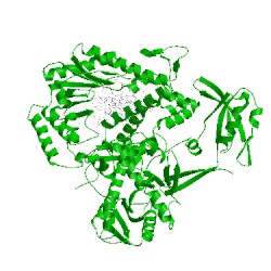 Image of CATH 4ail