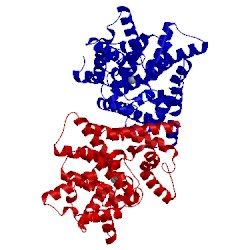 Image of CATH 4ajf