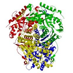 Image of CATH 4aji