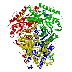 Image of CATH 4ajl