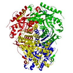 Image of CATH 4ajn