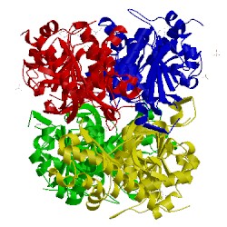 Image of CATH 4ajp