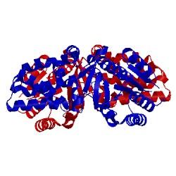 Image of CATH 4ak9
