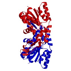 Image of CATH 4ake