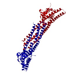 Image of CATH 4akv