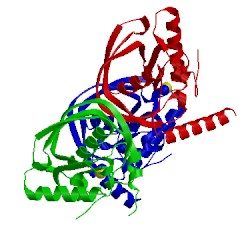 Image of CATH 4al2
