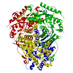 Image of CATH 4al4