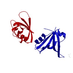 Image of CATH 4amh
