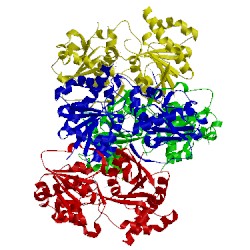 Image of CATH 4an4