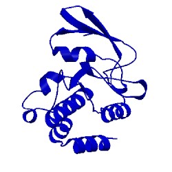 Image of CATH 4ann