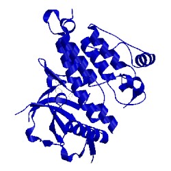 Image of CATH 4ans