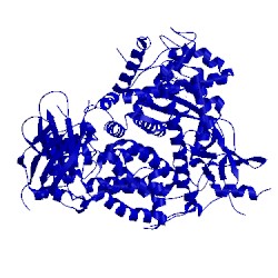 Image of CATH 4anx