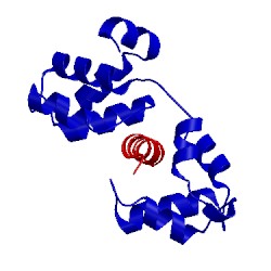 Image of CATH 4aom