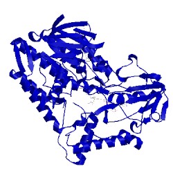 Image of CATH 4ap1