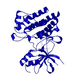 Image of CATH 4ap7