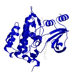 Image of CATH 4app