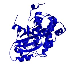 Image of CATH 4ark