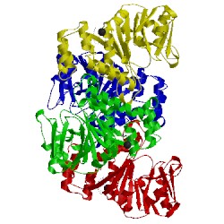 Image of CATH 4asj