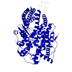 Image of CATH 4asr