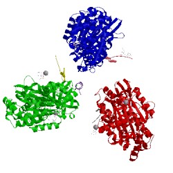 Image of CATH 4asu