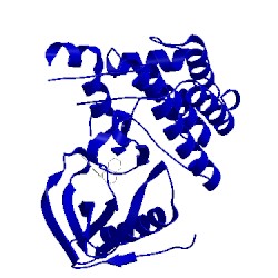 Image of CATH 4at3