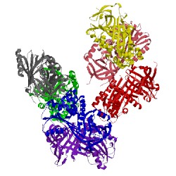 Image of CATH 4au4