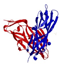 Image of CATH 4auu