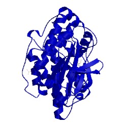 Image of CATH 4awi