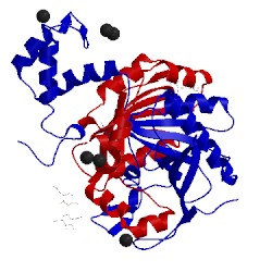 Image of CATH 4az0