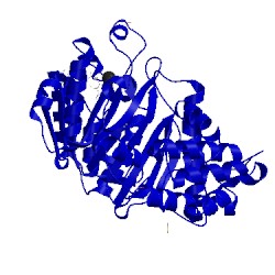Image of CATH 4azv