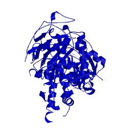 Image of CATH 4b1g
