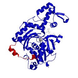 Image of CATH 4b1x