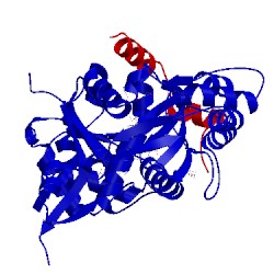 Image of CATH 4b1y