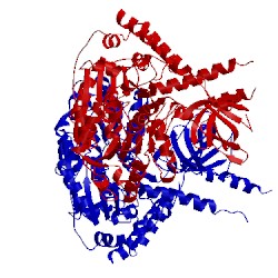 Image of CATH 4b3g