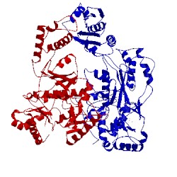 Image of CATH 4b3q