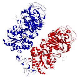 Image of CATH 4b56