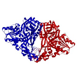 Image of CATH 4b73