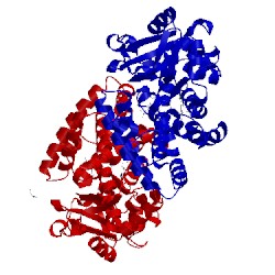 Image of CATH 4b7d