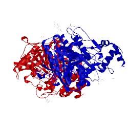 Image of CATH 4b83