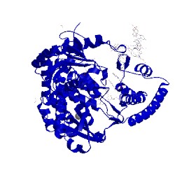 Image of CATH 4b9v