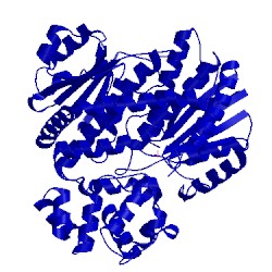 Image of CATH 4bba