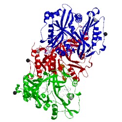 Image of CATH 4bbh