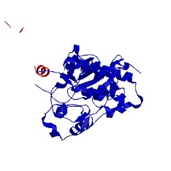 Image of CATH 4bci