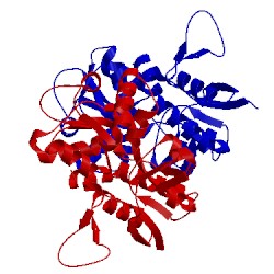 Image of CATH 4bdl