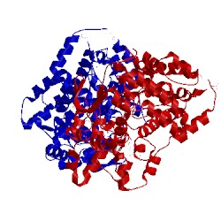 Image of CATH 4bep