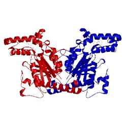 Image of CATH 4bft