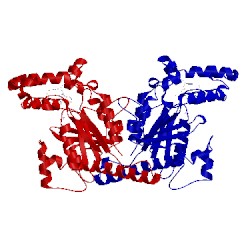 Image of CATH 4bfu