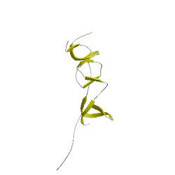 Image of CATH 4bh0A01