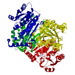 Image of CATH 4bii